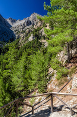 Samaria gorge national park