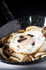 Cazuela de Boletus con huevo campero foie y trufa.