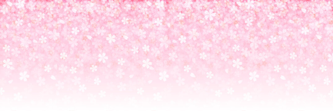 桜　春　和紙　背景