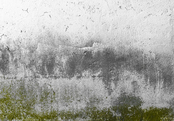 Old concrete wall with  mold or fungus