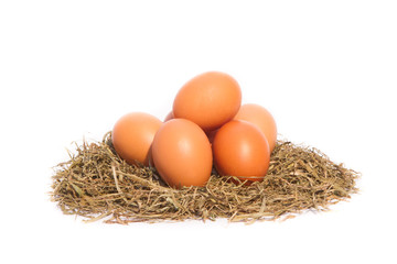 Chicken eggs in a nest on white background