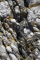 Rocky island