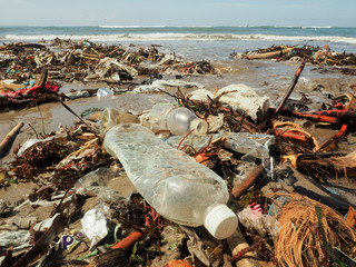 plastic bottles and Trash on the beach in bali