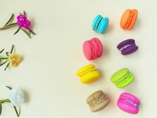 Colorful macaron arrange line vertical and beautiful moss rose flower on yellow background