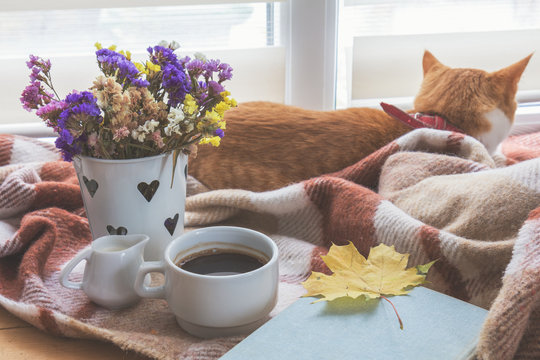 Cup of coffee, book with autumn yellow leaf and red-white cat surrounded wool blanket on windowsill