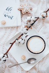Mug of hot drink with cotton branch on white cozy winter blanket