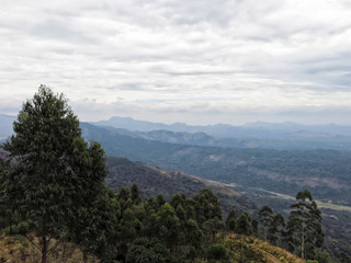 Province du Kerala Inde