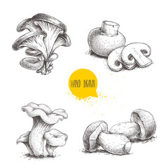 Hand drawn sketch style mushrooms compositions set. Champignon with slices, oysters, chanterelles and porcini mushrooms. Farm fresh food vector illustrations isolated on white background.