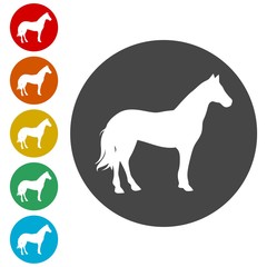 Horse silhouette - Vector - Illustration 