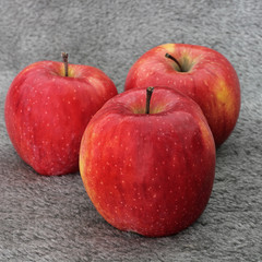 Red apples on wool. Apples on a gray background. Fruit