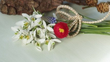 schneegloeckchen zum strauss gebunden und bellies