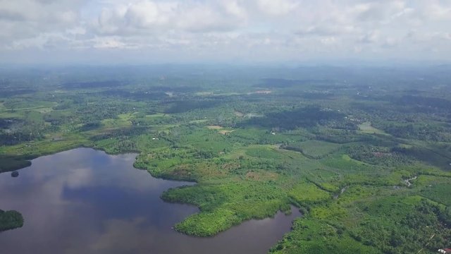 View of green jungle forest at lake reveal horizon ceylon sunrise drone footage