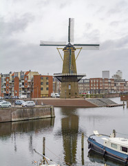 Fototapeta na wymiar windmill in Rotterdam