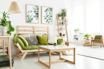 Natural apartment with green couch