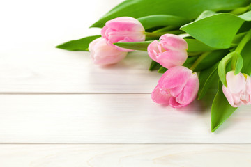 Spring Background with Tulip Flowers