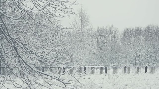 Winter landscape with falling snow. Everything is covered with fresh powder. Intense atmosphere like Nordic detectives. Winter background for Christmas theme. Static day shot.