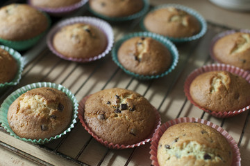 tasty fresh chocolate cookies directly of the stove