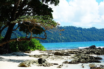 Andaman Island India Havelock island