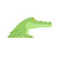 Crocodile head. Alligator muzzle isolated. Predator animal. Vector illustration