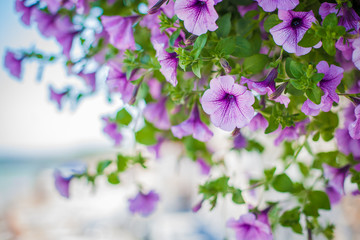 Elegant flower decoration on the table in restaurant for an event party or wedding table