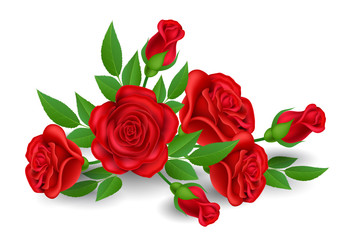 Naklejka premium Realistic red rose flower with bud and leaf, isolated on white. Vector illustration for Valentine's day, love and celebration design