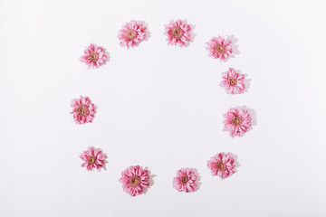 Pink flowers in the shape of a circle