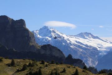 Schynige Platte | Interlaken, Schweiz
