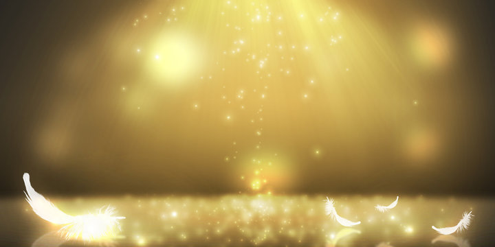 Glitters light gold on the floor and feathers light with soft light project to floor on dark background
