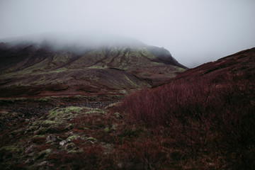 Island | Thingvellir