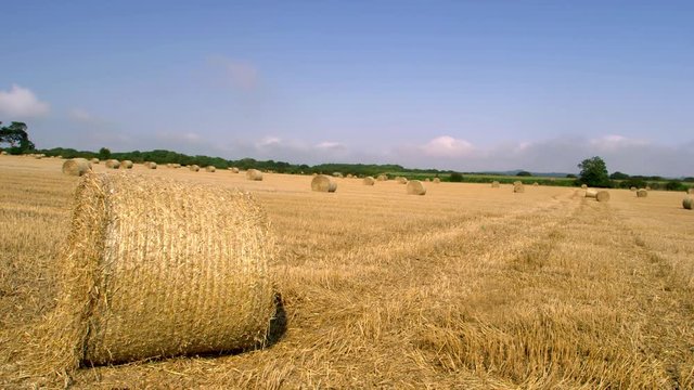 Rolled Hay Bails; Hay Bails & South Bay; West Ayton, Scarborough