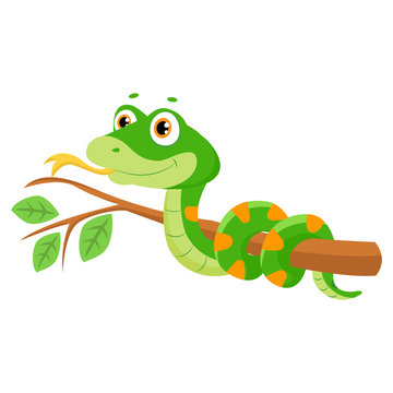 Vector Illustration Of Cute Green Smiles Snake On Branch. Cartoon Vector Reptile Isolated On White Background. Non Venomous Snake.