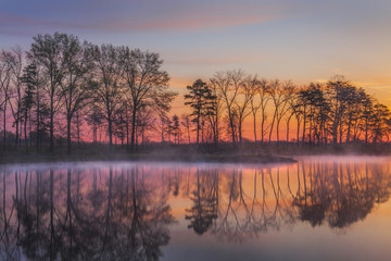 dramatic sunrise over lake with silhouette trees