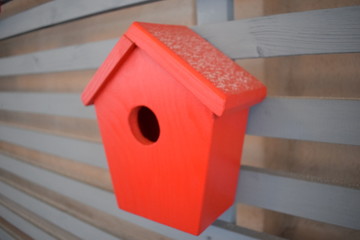 Obraz na płótnie Canvas red house for birds