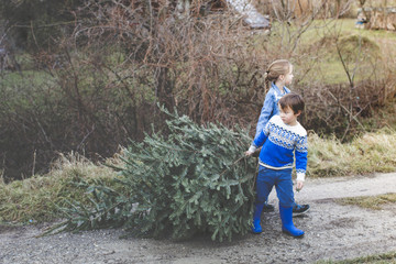 brother and sister are pulling out an old christmas tree for knut - obrazy, fototapety, plakaty