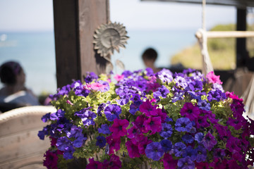 Fototapeta na wymiar Beautiful blue and purple flowers with the background of the sea
