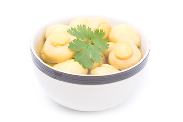 whole champignon mushrooms in brine isolated on white background