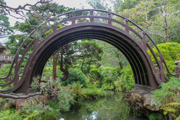 A Japanese arched metal bridge, over a stream in the Japanese tea gardens, San Francisco