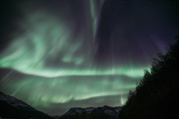 Norwegen | Polarlichter, Alta