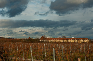 Wolkenhimmel &uuml;ber Feldern
