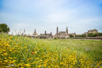 Sommer in Dresden © Lichtbildmanie