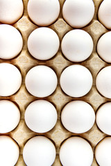 Eggs in tray of carton.