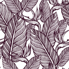Seamless pattern of exotic flowers. Strelitzia. Summer. Wallpaper of tropical plants. Graphic background.