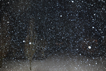 Schneesturm Winter 2018, Circus, Putbus auf Rügen