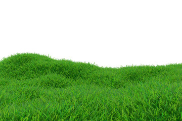 Green grass growing on hills with white background top view. 3d rendering.