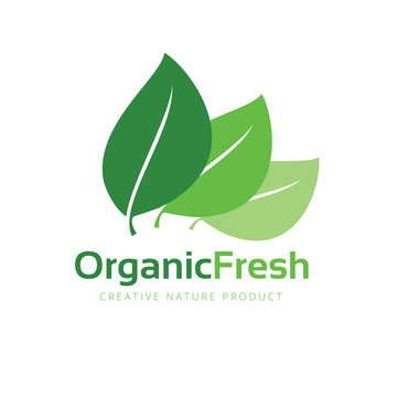 Organic logo. Green and natural product icons. Fresh food and eco product logo, Leaf and vector design element for healthy care brand identity. Vector Illustration.