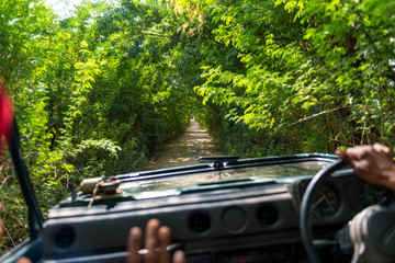 Road in Rural India through thicket near Bera, Rajasthan