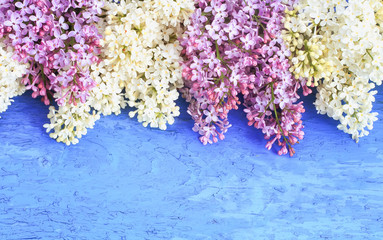 beautiful branch of lilac with pink and white flowers on a blue wooden table in spring