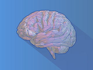 Low poly brain illustration with wireframe on blue BG