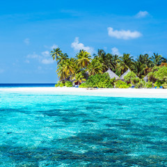 On vacation in a tropical island in ocean. Tropical island in the ocean. Palm trees on white sand beach. Maldives. A great place to relax.