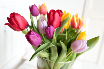 Colorful tulips on white background